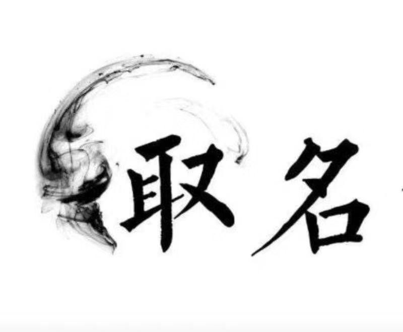  兴平宝宝取名 大师一对一人工起名